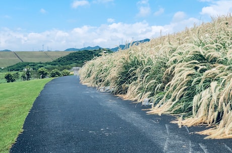 噪音发源地 新噪声法要求