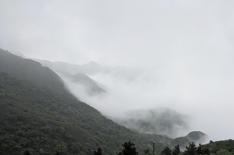 品尝正宗小笼包，美味贯穿时间