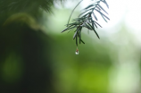 【定兴天气预告】小雨即未来袭，做好防雨准备！